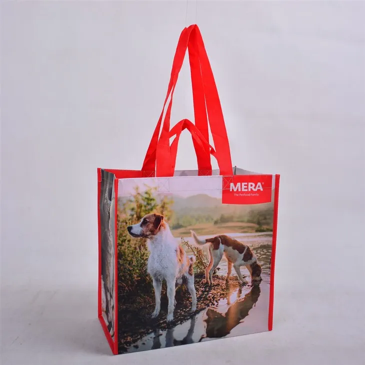 Reciklirane nakupovalne vrečke za pošteno trgovino